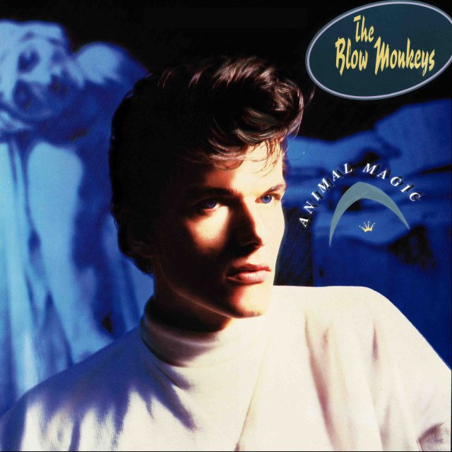 blow monkeys animal magic