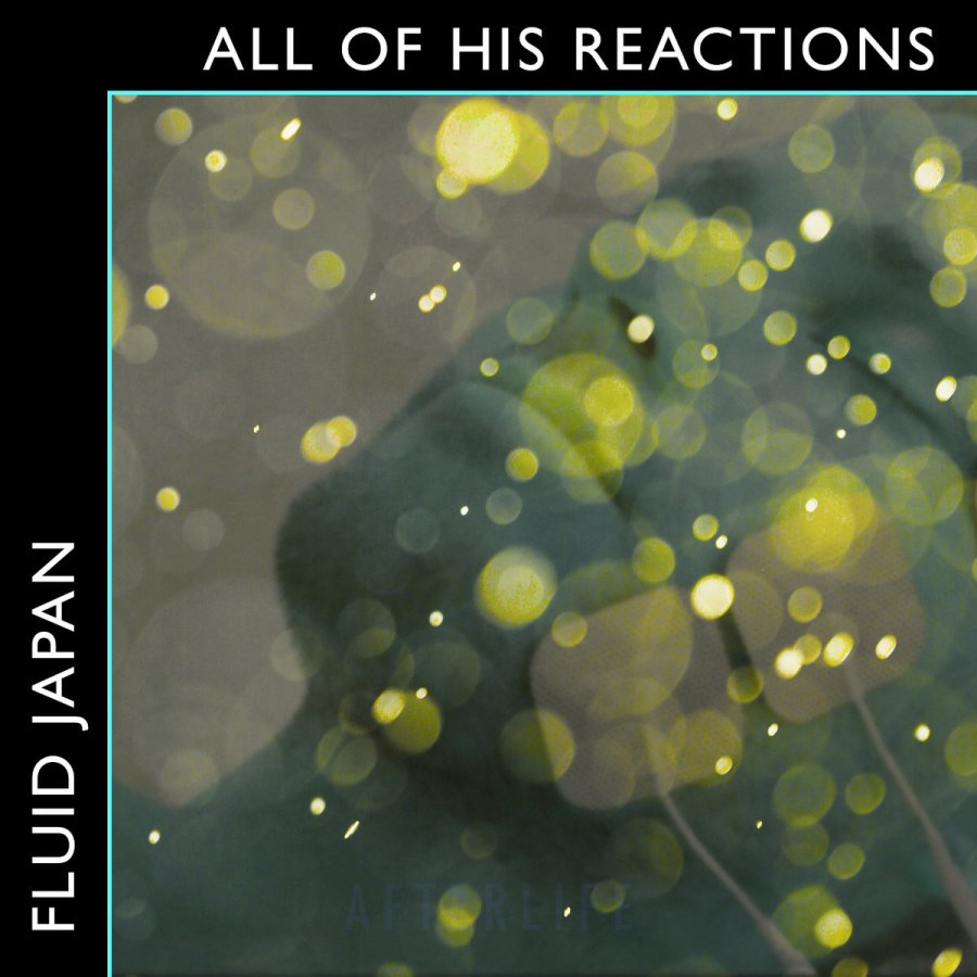 fluid japan - all of his reactions