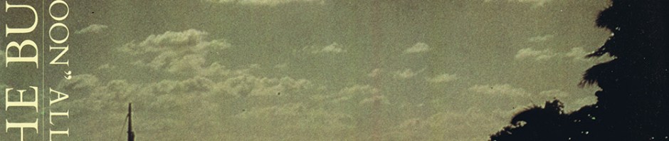 echo + the bunnymen the killing moon