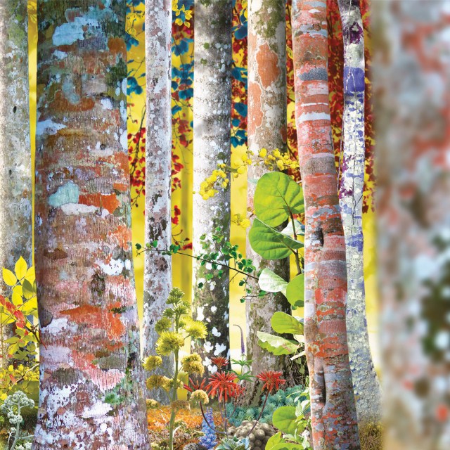 david sylvian - do you know me now