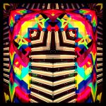 the metamorph skylab