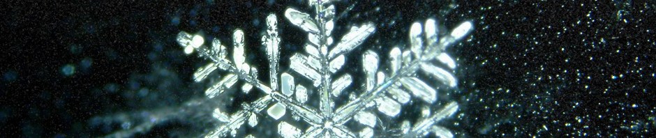 steven jones + logan sky silver rain EP