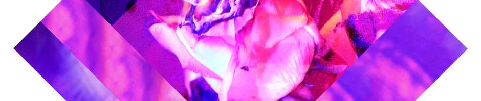 yama uba silhouettes