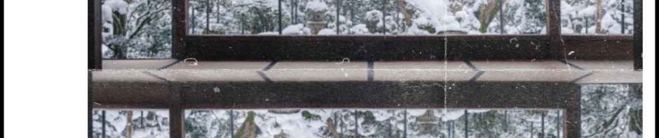 fluid japan equilibrium