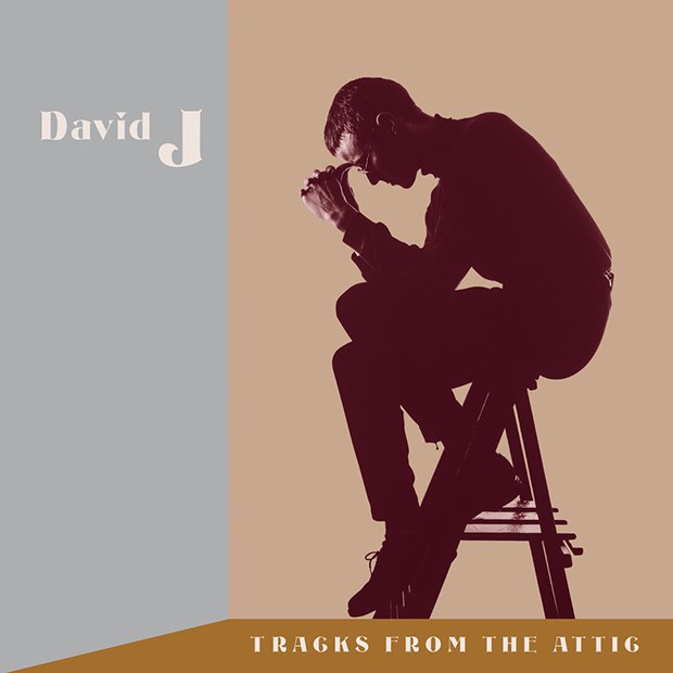 david J tracks from the attic
