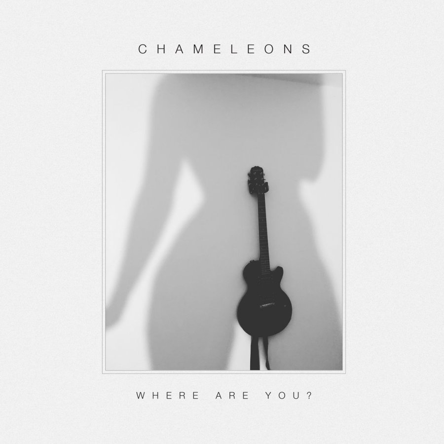 chameleons - where are you?