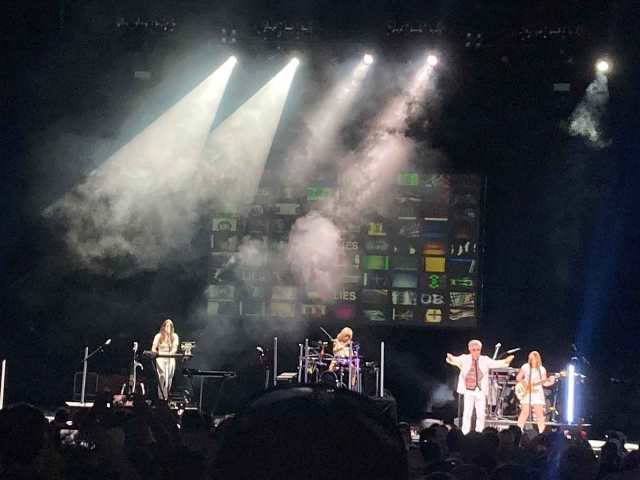 tom bailey video wall in raleigh - totally tubular festival 2024