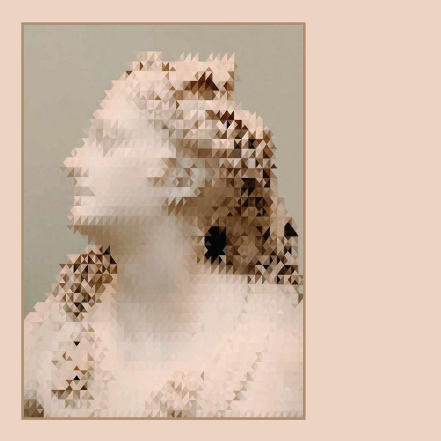 the metamorph - exploded view DLX RM