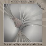 chameleons tomorrow remember yesterday