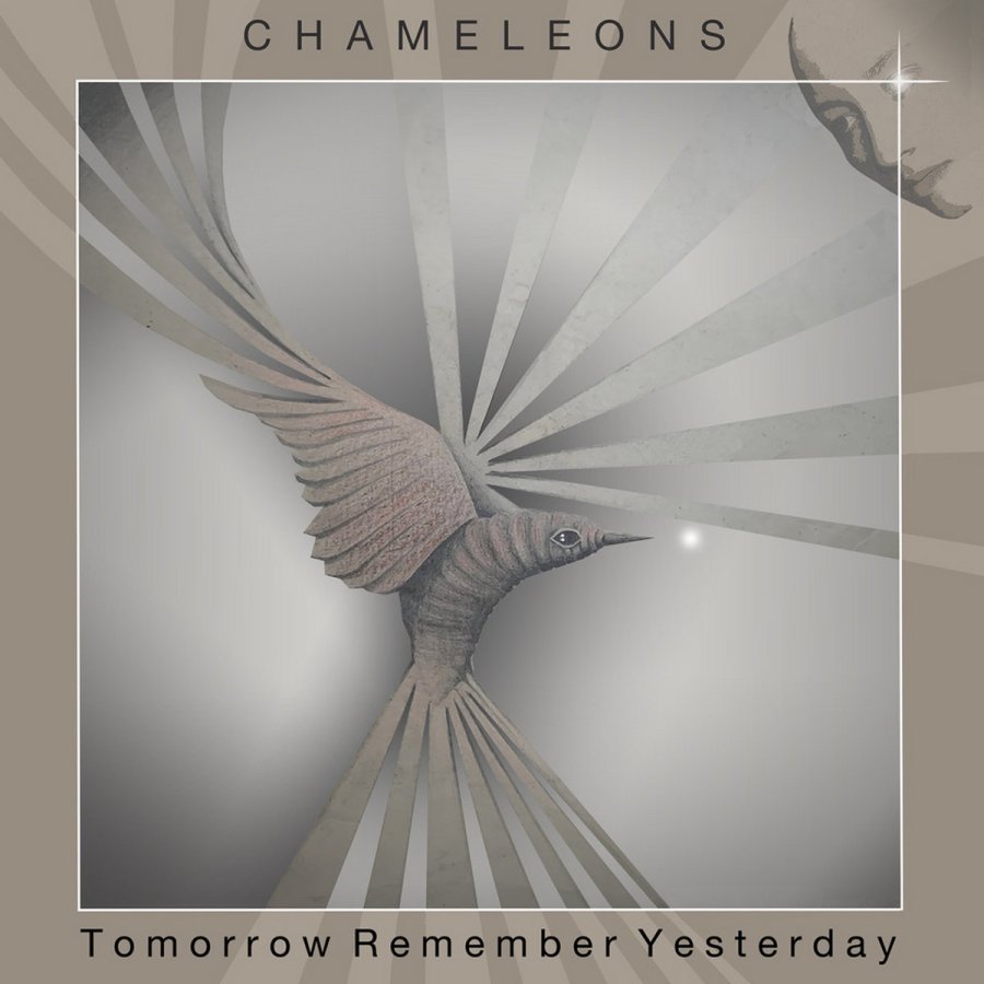 chameleons tomorrow remember yesterday