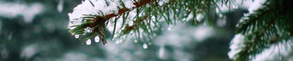 fluid japan merry christmas mr lawrence EP