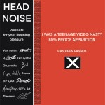 head noise i was a teenage video nasty