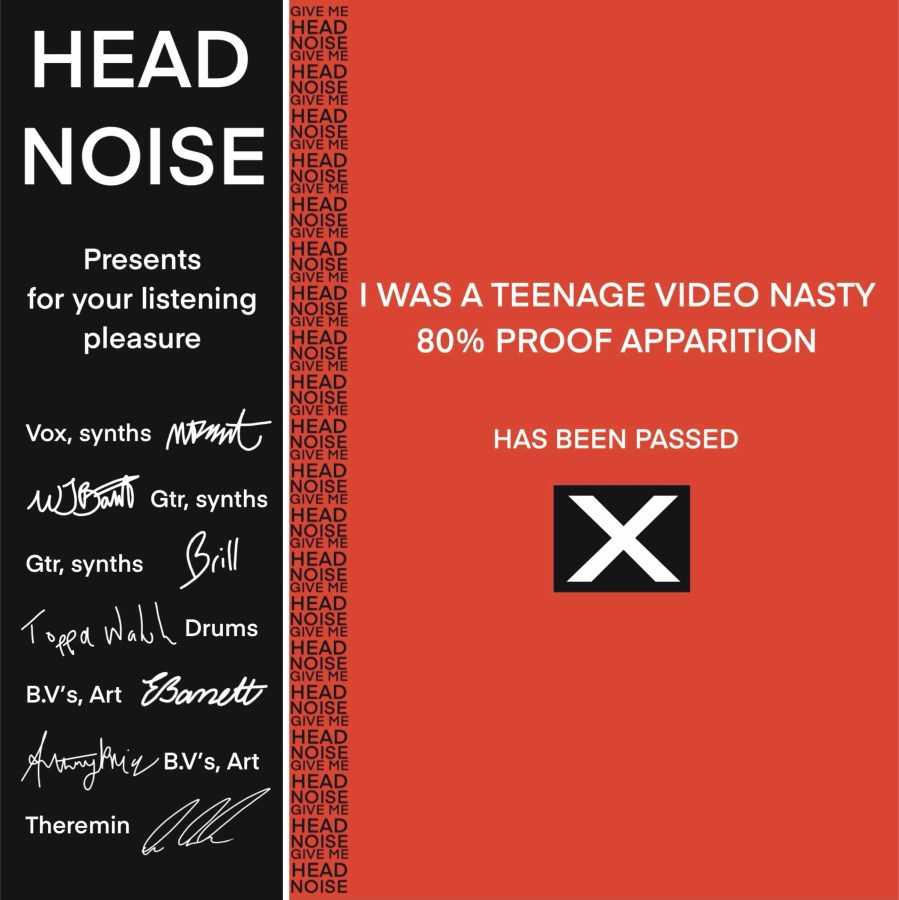 head noise i was a teenage video nasty