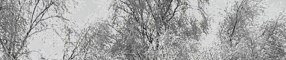 fractured wrist december