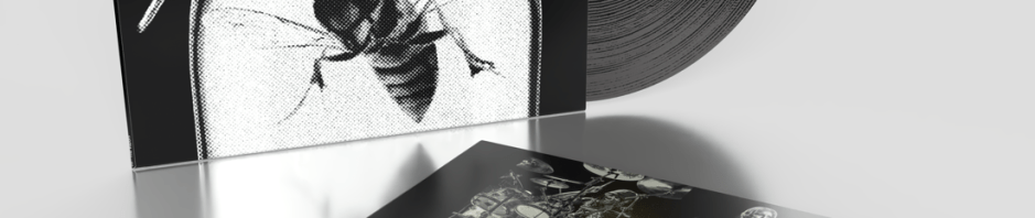 the vapors wasp in a jar LP package