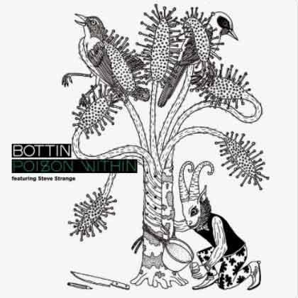 bottin + steve strange - poison within