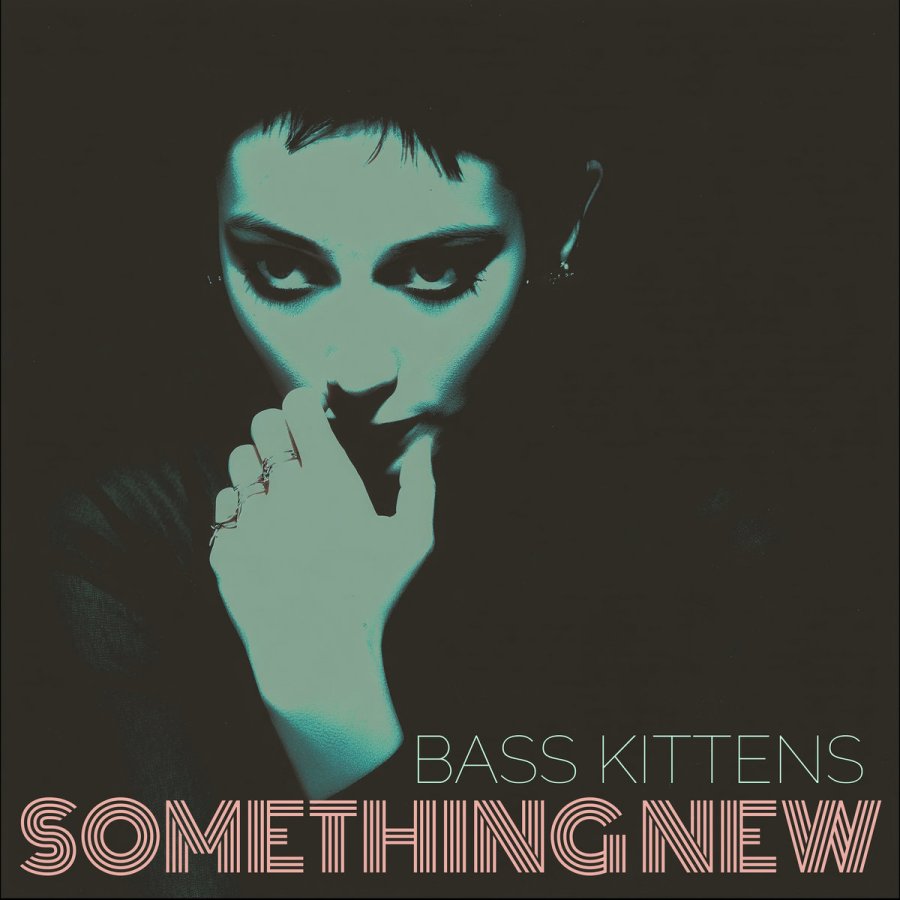 bass kittens something new