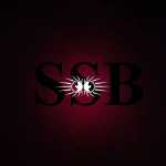 sunshine blind scarred but fearless