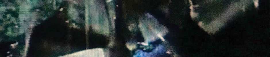 jyl album on minimal wave