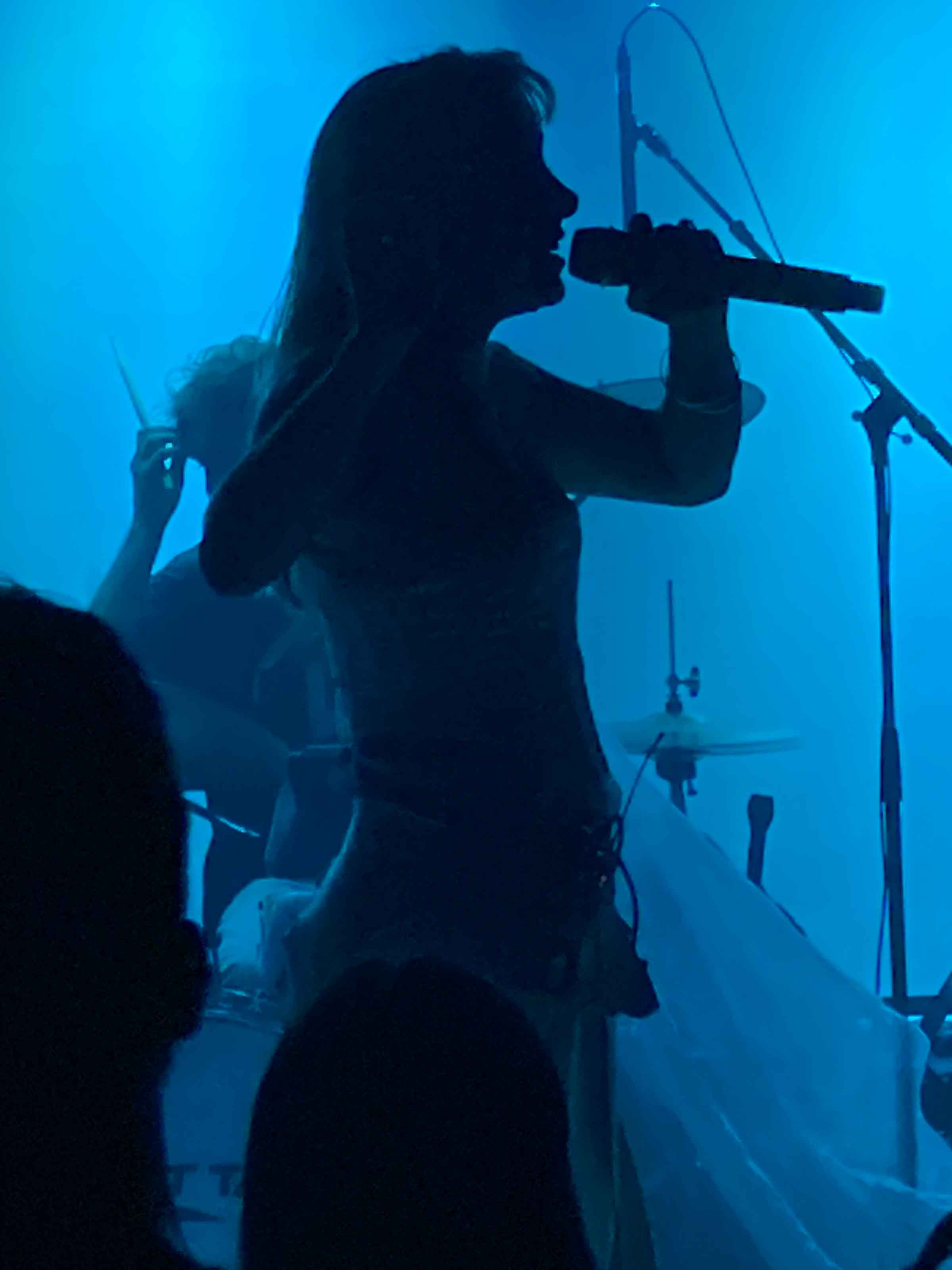 Night Tapes in asheville at grey eagle Oct 25, 2025 Iiris Vesik in profile