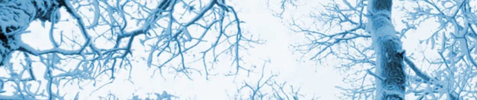 jan liinton fluid japan forbidden colours